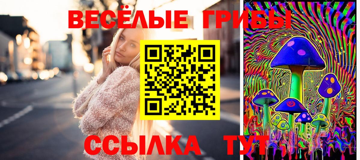 Псилоцибиновые грибы Magic Shrooms Волжск